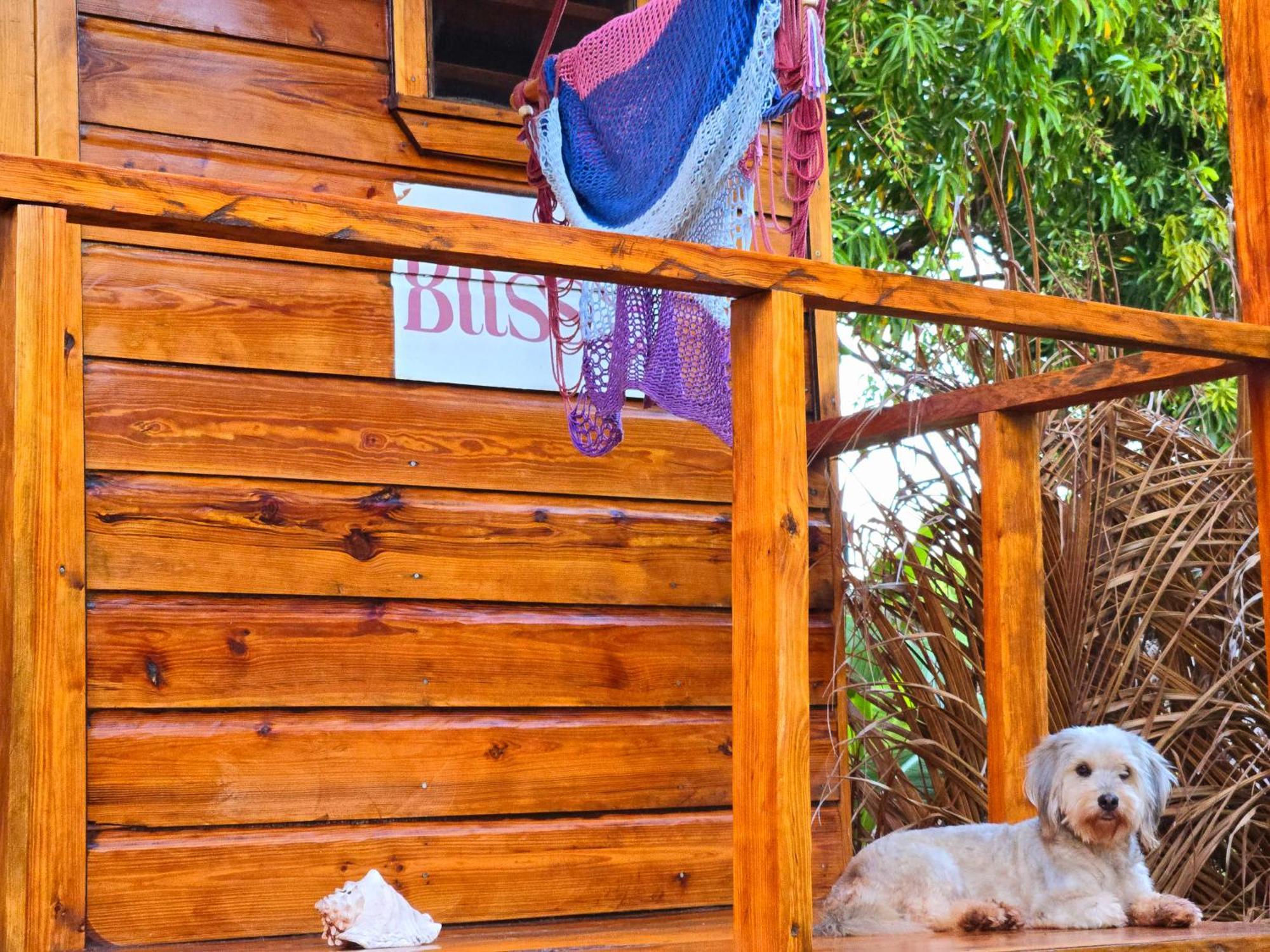The Lighthouse Retreat, Little Corn Island, Nicaragua 호텔 외부 사진